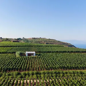 Resort Tenuta Di Castellaro Winery &, Lipari (Isola Lipari)